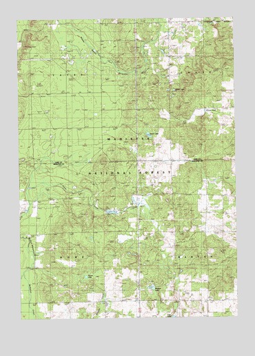 Whipple Lake, MI USGS Topographic Map