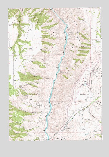 White Bird, ID USGS Topographic Map