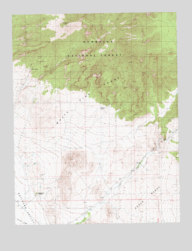White Pine Peak, NV USGS Topographic Map
