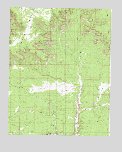 White Tower, UT USGS Topographic Map