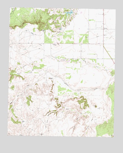 Whiteflat, TX USGS Topographic Map