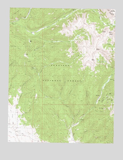 Whitepine, CO USGS Topographic Map