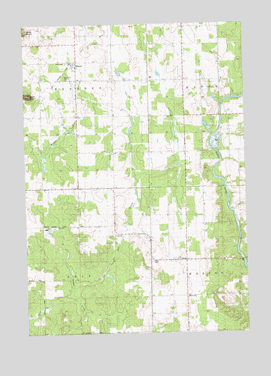 Willard, WI USGS Topographic Map