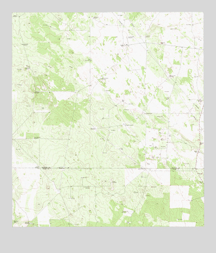 Borregos Ranch, TX USGS Topographic Map