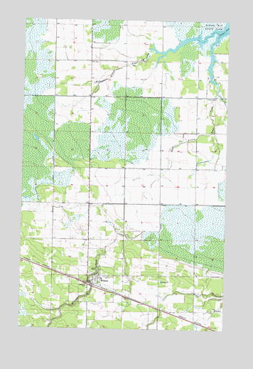 Williams, MN USGS Topographic Map