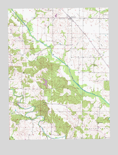 Williamstown, MO USGS Topographic Map