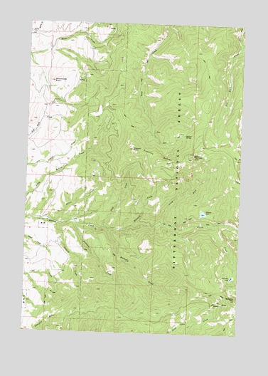 Willow Mountain, MT USGS Topographic Map