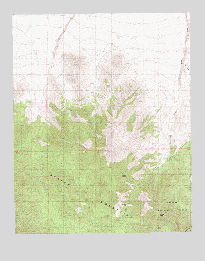 Willow Peak, NV USGS Topographic Map