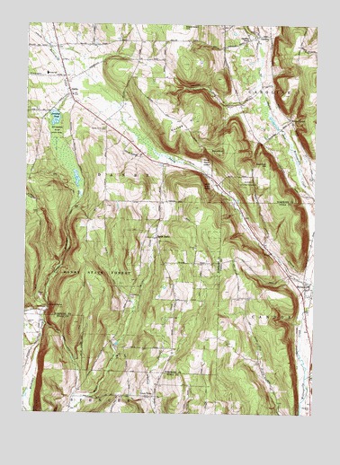 Willseyville, NY USGS Topographic Map