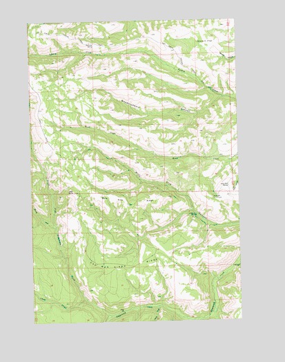 Willy Dick Canyon, WA USGS Topographic Map
