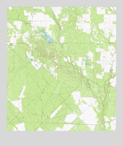 Wilson Ranch, TX USGS Topographic Map
