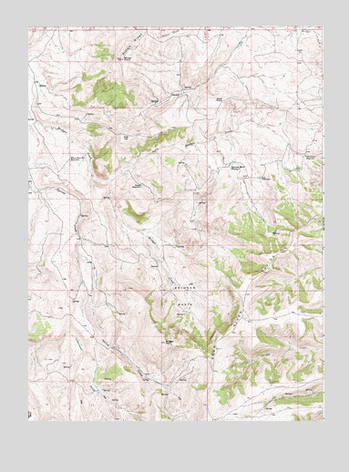 Windy Point, WY USGS Topographic Map