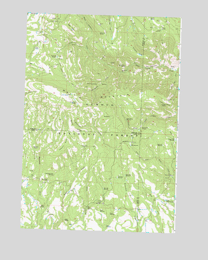 Wolf Mountain, OR USGS Topographic Map