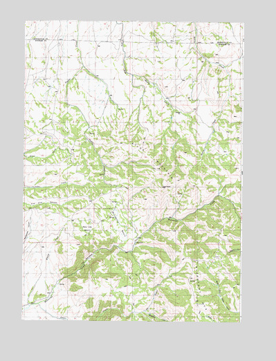 Wolverine, ID USGS Topographic Map