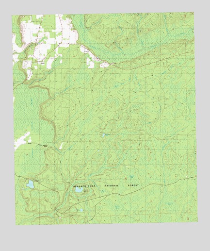 Woods, FL USGS Topographic Map