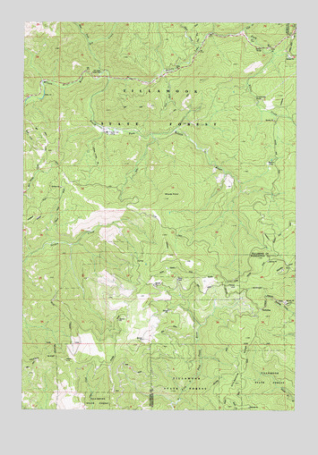 Woods Point, OR USGS Topographic Map