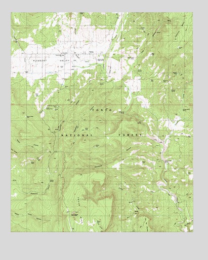 Young, AZ USGS Topographic Map