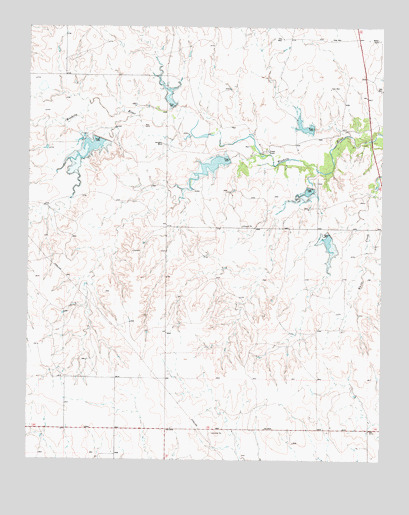 Young Ranch, TX USGS Topographic Map