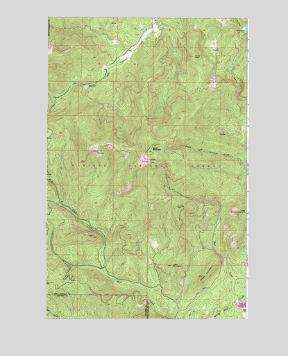 Boyer Mountain, WA USGS Topographic Map