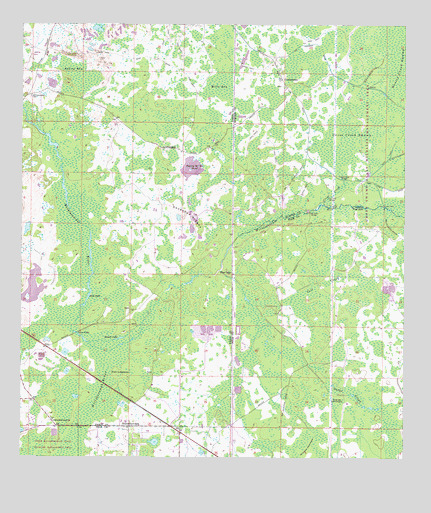 Branchborough, FL USGS Topographic Map