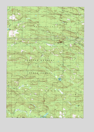 Alfred, MI USGS Topographic Map