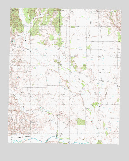 Brice, TX USGS Topographic Map