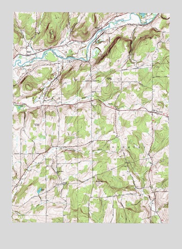 Brisben, NY USGS Topographic Map