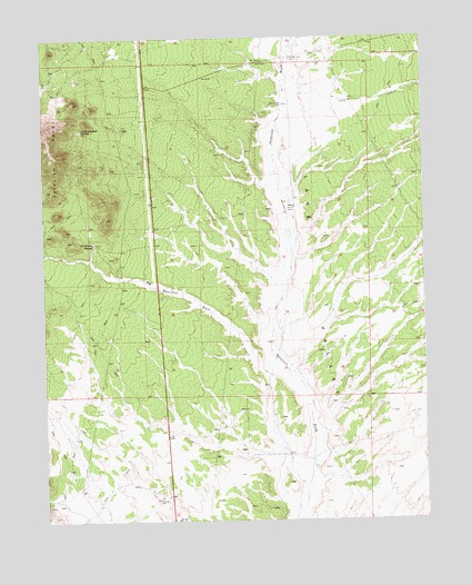 Bristol Range NE, NV USGS Topographic Map