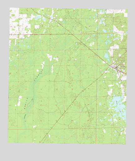Bronson, FL USGS Topographic Map