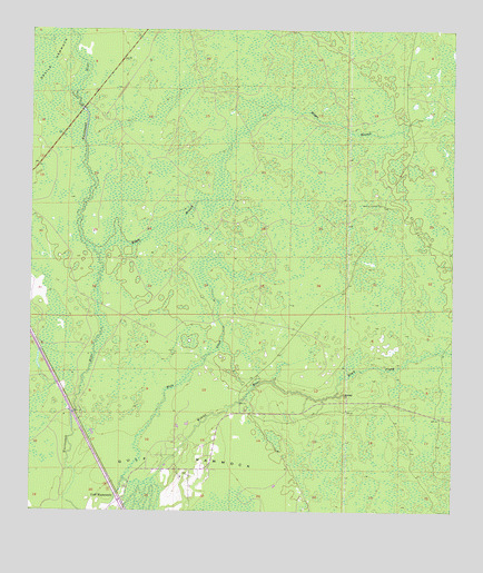 Bronson SW, FL USGS Topographic Map