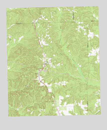 Brooklyn, GA USGS Topographic Map