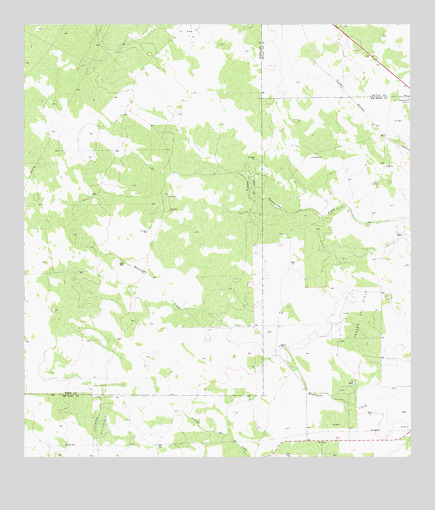 Bruni SE, TX USGS Topographic Map