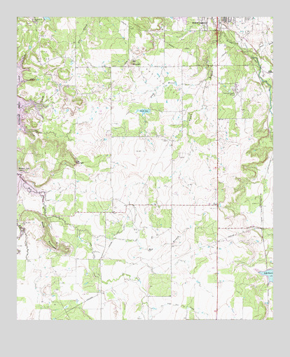 Buck Mountain, TX USGS Topographic Map