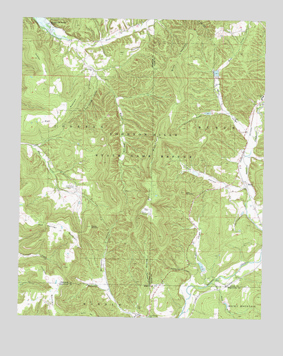 Bunch, OK USGS Topographic Map
