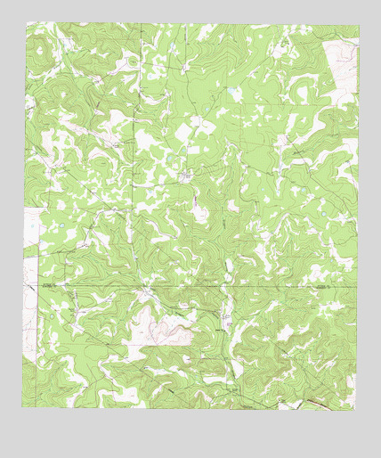 Bundy Ranch, TX USGS Topographic Map