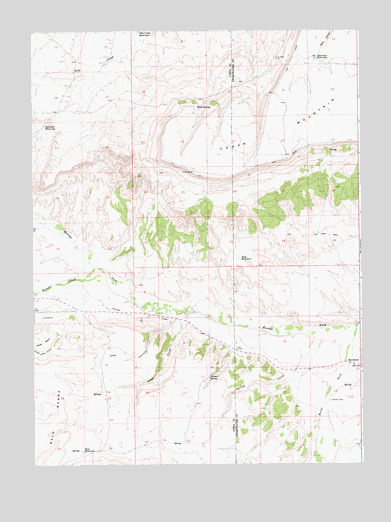 Burntfork, WY USGS Topographic Map