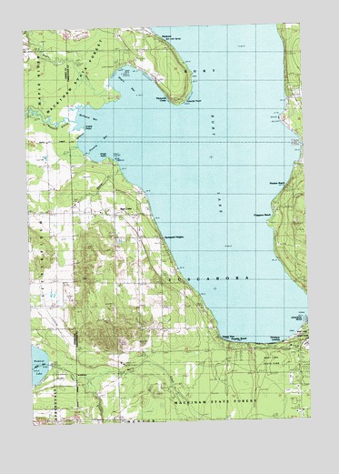 Burt Lake, MI USGS Topographic Map