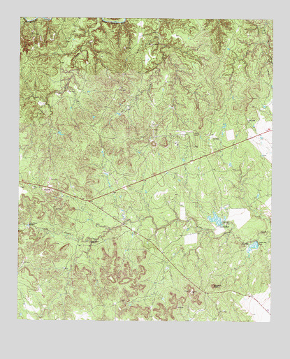Buzzard Peak, TX USGS Topographic Map