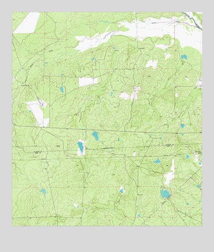 Caiman Creek SE, TX USGS Topographic Map