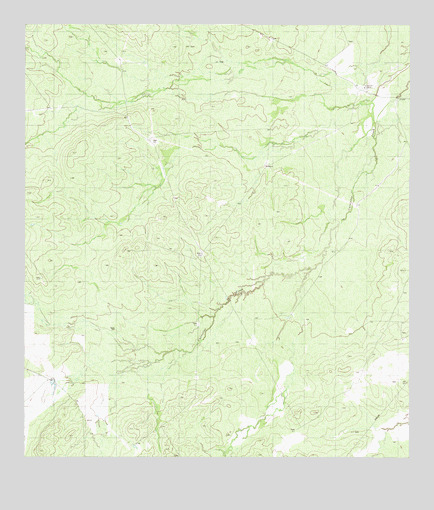 Callaghan Ranch SE, TX USGS Topographic Map