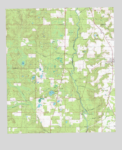 Altha West, FL USGS Topographic Map
