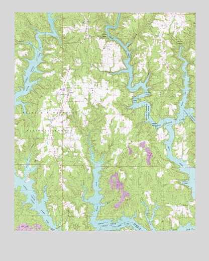 Arley, AL USGS Topographic Map