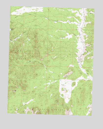 Bible Spring, UT USGS Topographic Map