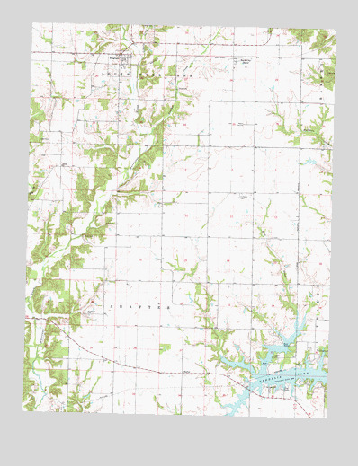 Bingham, IL USGS Topographic Map