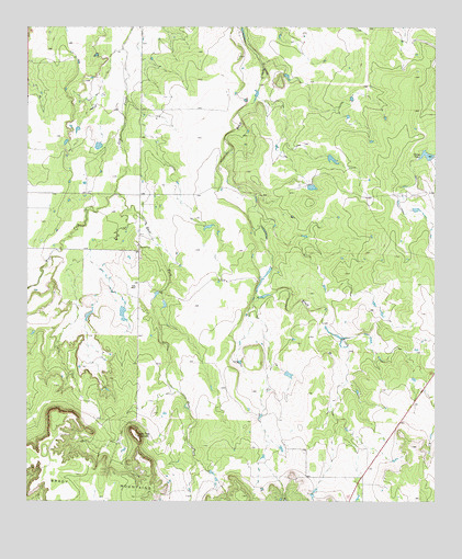 Bluff Creek, TX USGS Topographic Map