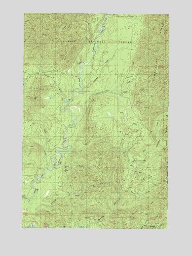 Burnt Hill, WA USGS Topographic Map