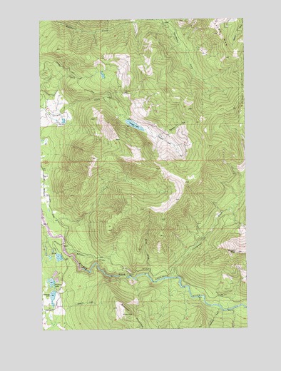 Canyon Lake, WA USGS Topographic Map