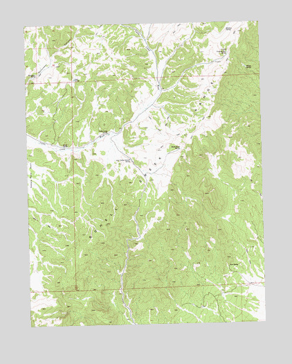 Cattle Camp Spring, NV USGS Topographic Map