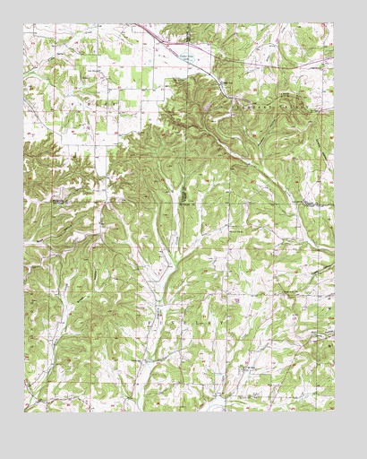 Cedar Gap, MO USGS Topographic Map