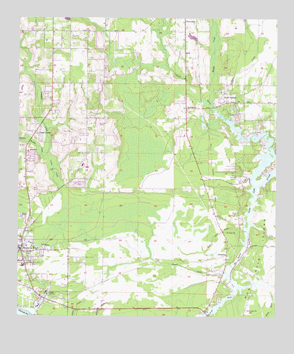 Coden, AL USGS Topographic Map